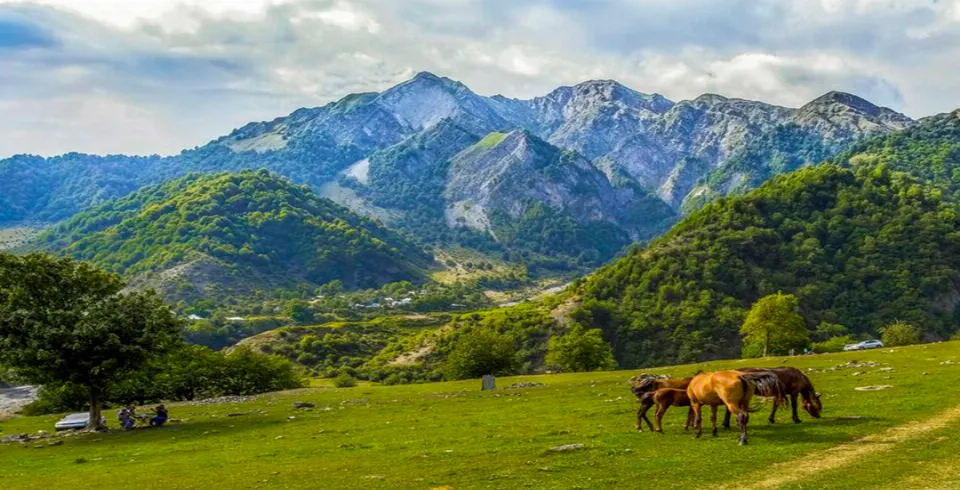 ТУР В ГАБАЛУ